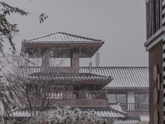 -诗经里