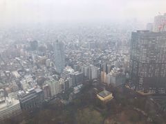 -东京都厅舍