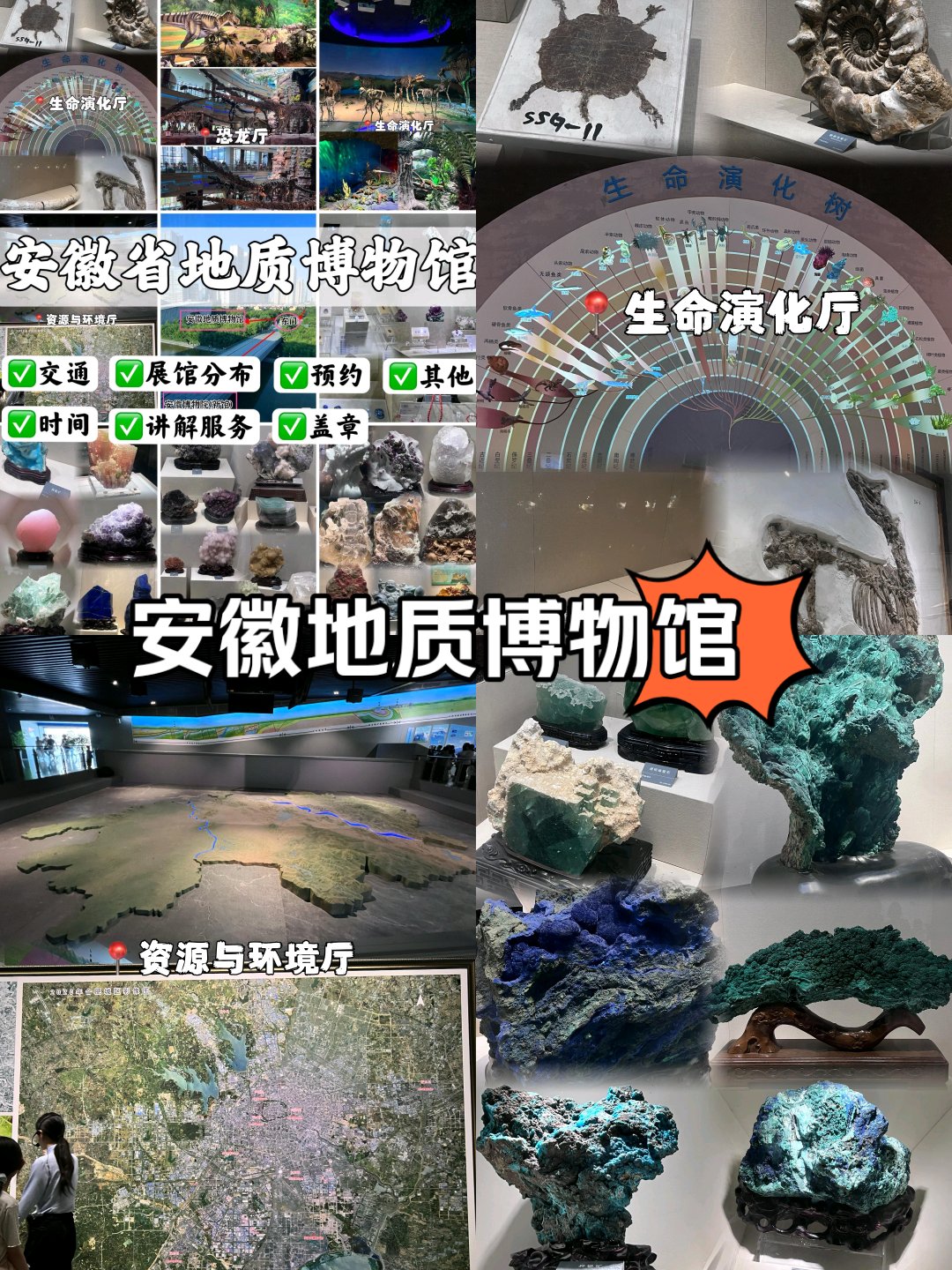 安徽地质博物馆地址图片