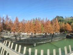 -梅峰山地公园