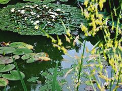 -国家植物园南园