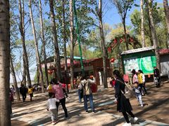 -东方巨龟苑景区