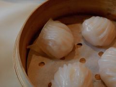 原汁鲜虾饺-利苑酒家(华熙国际店)