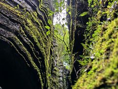 -梭布垭石林景区