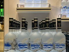 -谢列梅捷沃国际机场