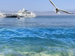 -青海湖国家重点风景名胜区