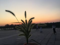 世博园凤之翼正门广场-沈阳植物园