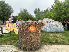 -北京鹿世界主题园