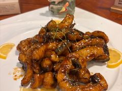 -顺德了能馆(虎门店)