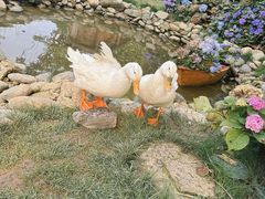 -HERRE·FARM 赫尔露营农场·团建聚会包场