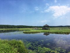 -塞罕坝国家级自然保护区