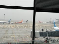-青岛胶东国际机场