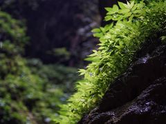 -龙水峡地缝景区