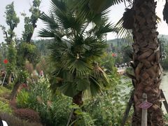 -枫香湖儿童公园