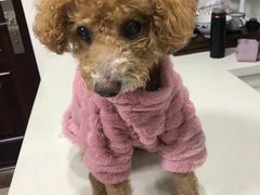 -爱侣宠医·鹦鹉专科·小型哺乳类·异宠专科(灵石路店)