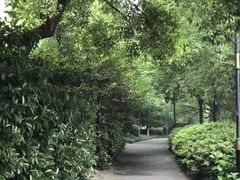 -杭州城北体育公园