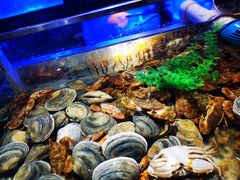 -V-ONE西雅图海鲜自助餐厅(仓山万达广场店)