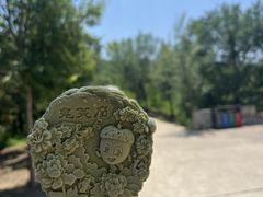 -北京西山国家森林公园