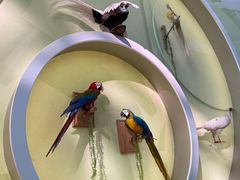 -陕西自然博物馆