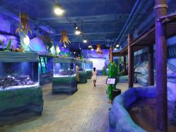 -酷嗒动物文化乐园(cutezoo西溪乐天城店)