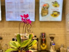 -藏猫猫咖啡主题馆(中央大道店)