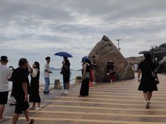 -广东惠东海龟国家级自然保护区
