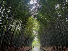 -同里国家湿地公园