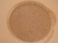 -成桂西餐厅·42年的味道(五大道疙瘩楼店)