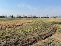 -汉长安城未央宫国家考古遗址公园