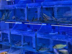 -有藕有鱼·湖北菜(唐家墩店)