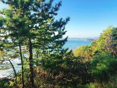 -南紀白浜 浜千鳥の湯 海舟