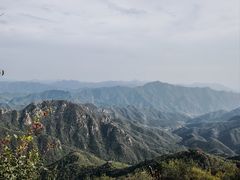 -大岭沟猕猴桃谷风景区