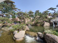 -罗红摄影艺术馆