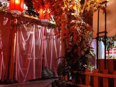-锦上中式酒馆(南内环店)