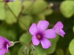 -杭州城北体育公园