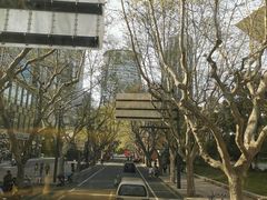 -BUS TOUR观光巴士