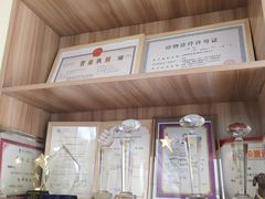 -派联宠物医院·24h·CT·异宠