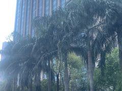 -云尚自助餐厅(佛山南海瞻云酒店)