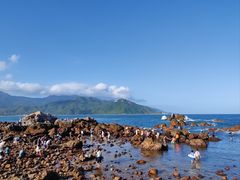 -西涌国际滨海旅游区