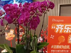 -时尚天河商业广场