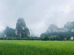 -明仕田园