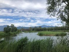 -野鸭湖国家湿地公园