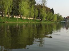 -太子山公园(园东路)