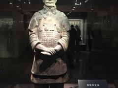 -秦始皇帝陵博物院-丽山园