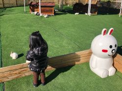 -萌宠亲子动物乐园(槐房万达店)