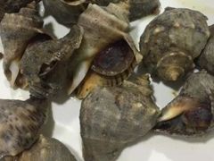 -渡海小渔村.老辈日照菜