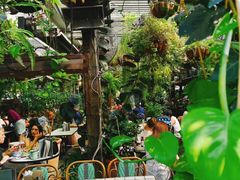 -The Grounds of Alexandria