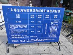 -广东惠东海龟国家级自然保护区