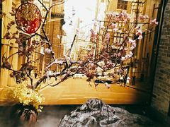 -老伙记海鲜码头(北滘店)