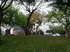 android_upload_pic-永康森林公园